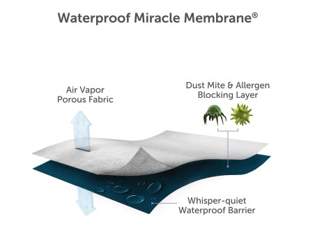 Mattress Protector