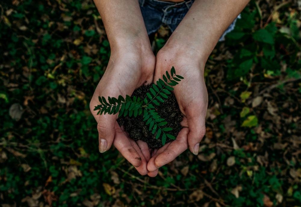 Live better for you and your planet – Earth Hour Day