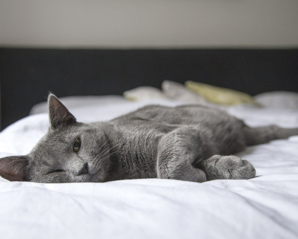 UK Bed Size Guide
